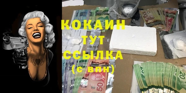 метадон Алексин