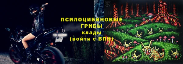 метадон Алексин