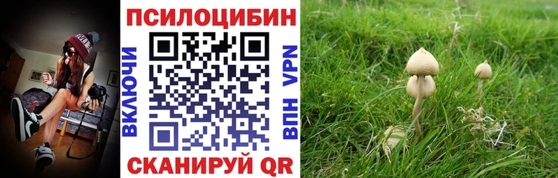 Псилоцибиновые грибы мицелий Махачкала