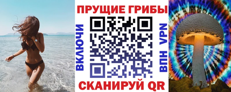 Псилоцибиновые грибы Psilocybe наркошоп Махачкала